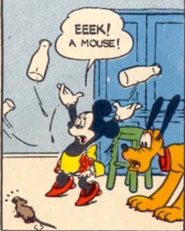 Eeek! A mouse!