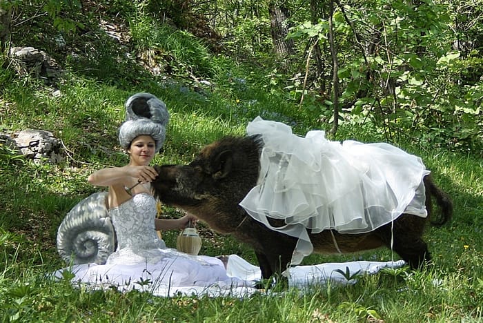 Fotografija št. 1. Tajči Čekada v videoperformansu z naslovom The Picnic (2013), ki je del dvokanalne videoinstalacije Boar, She-Boar, Boar Meat (2013).