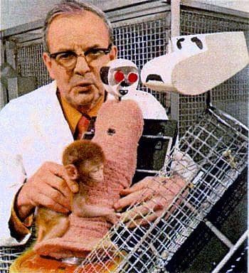 znanstvenik Harry Harlow z opico rezus med poskusom The Wire Mother Experiment